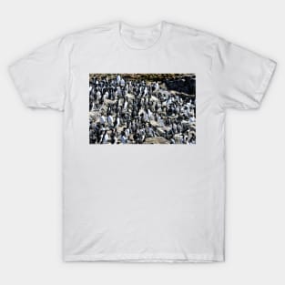 Guillemot colony on the Farne Islands - Northumberland, UK T-Shirt